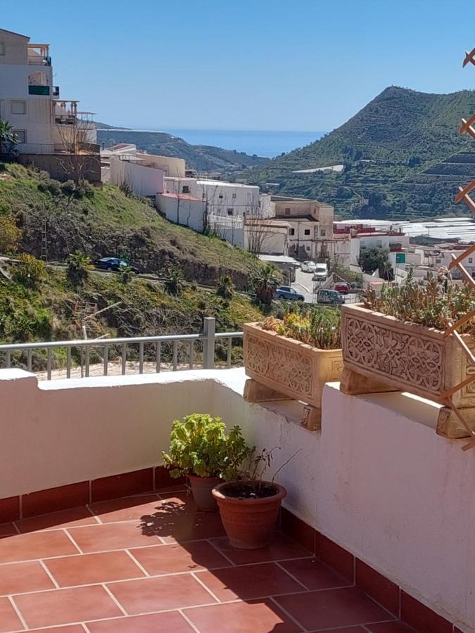 Апартаменты Casa Buenavista Альбуньоль Экстерьер фото
